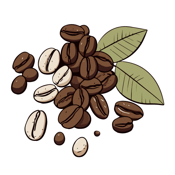 Coffee Beans